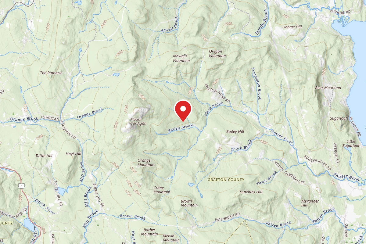 Cardigan Campsites