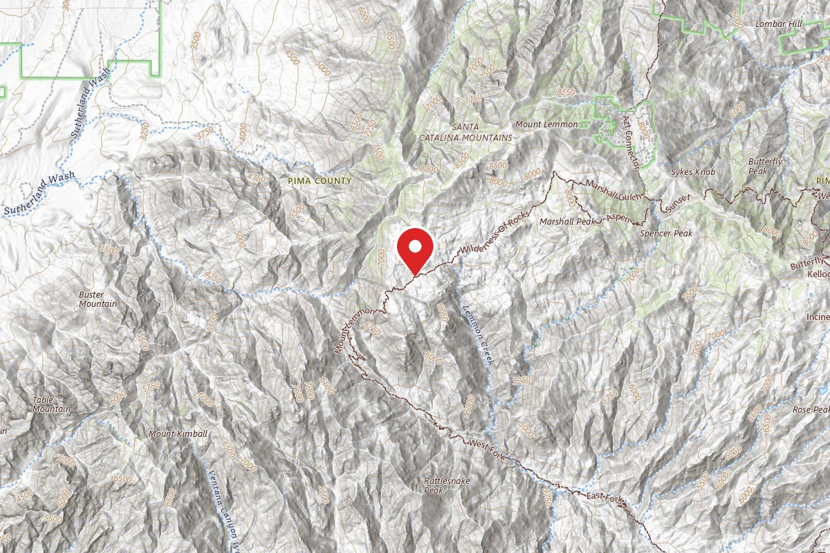 Dispersed Site near 32.4110, -110.8126