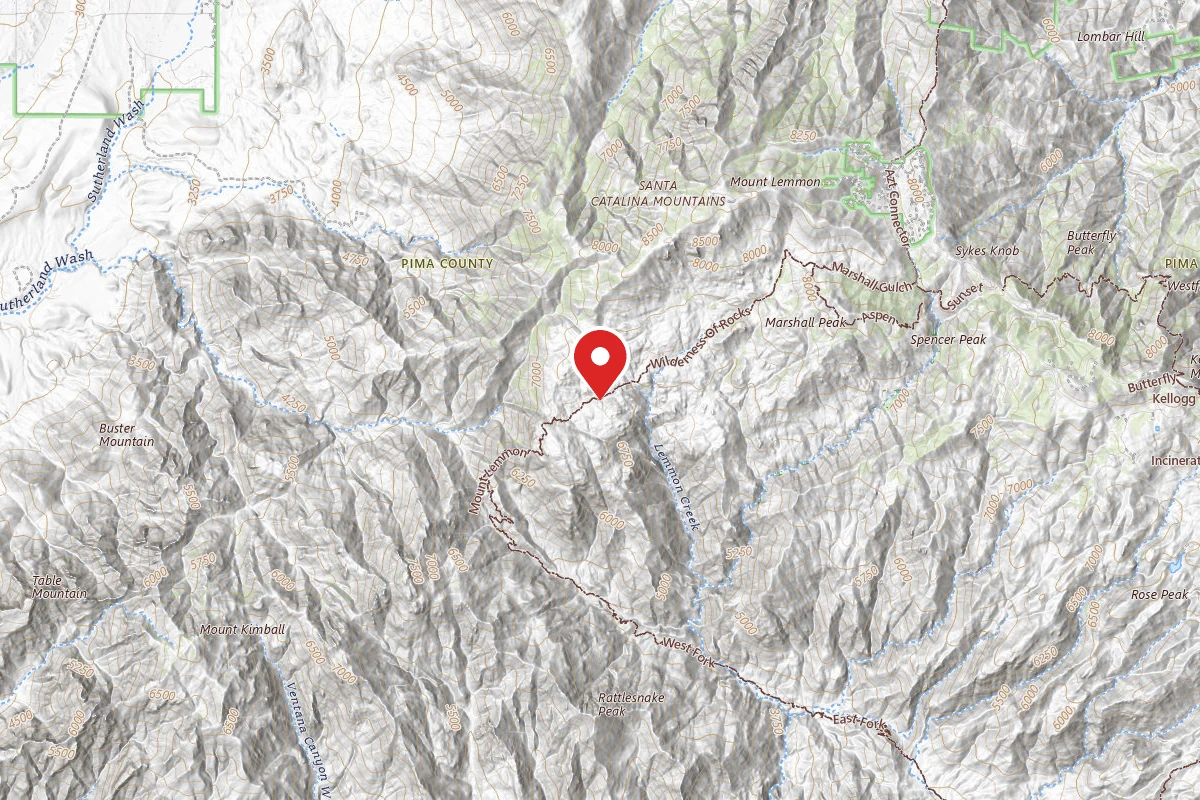 Dispersed Site near 32.4113, -110.8100