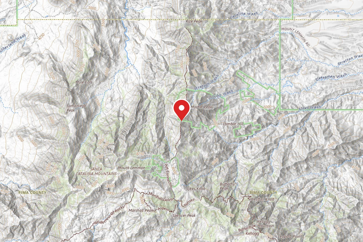Dispersed Site near 32.4653, -110.7517