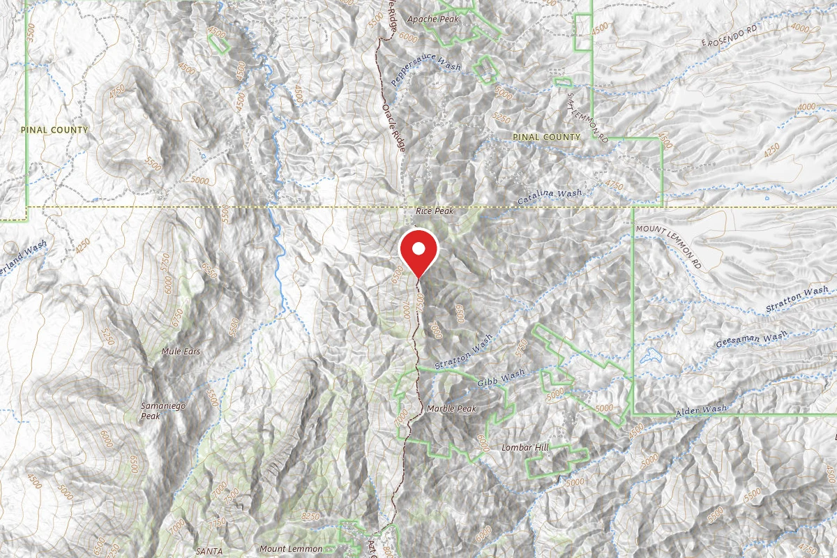 Dispersed Site near 32.4989, -110.7485