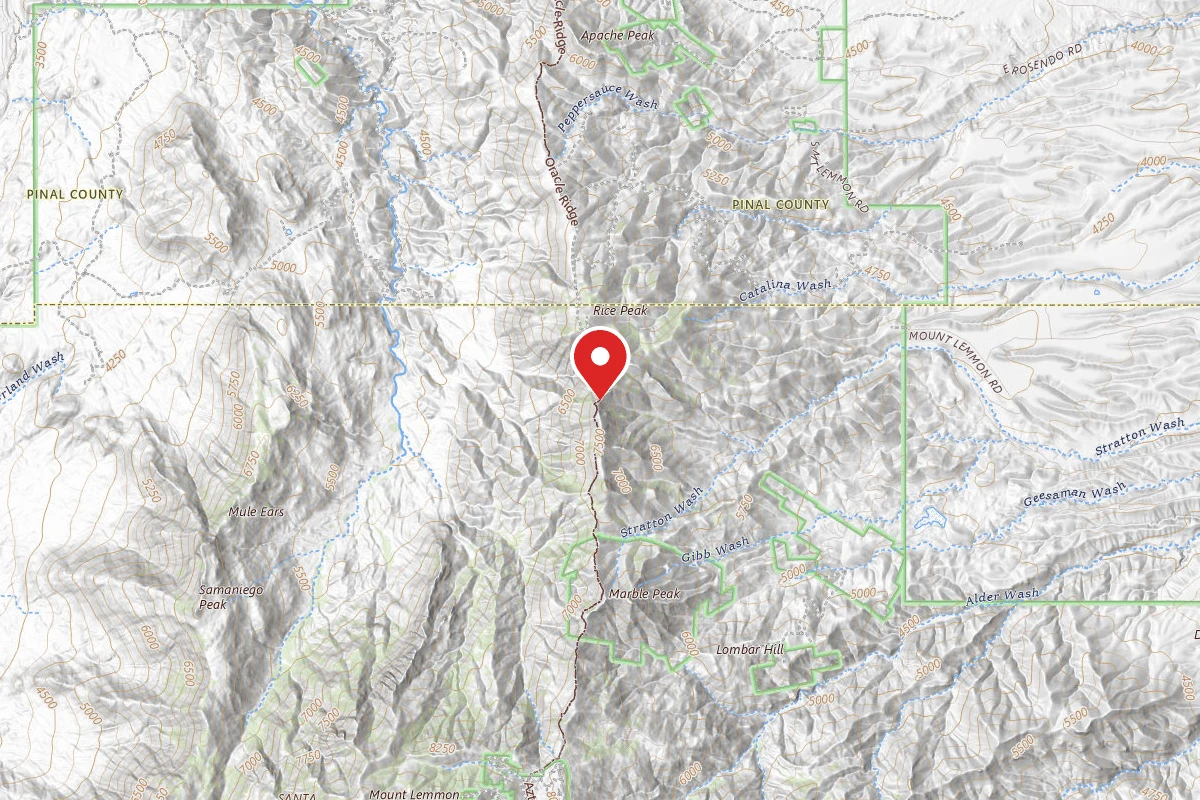 Dispersed Site near 32.5000, -110.7481