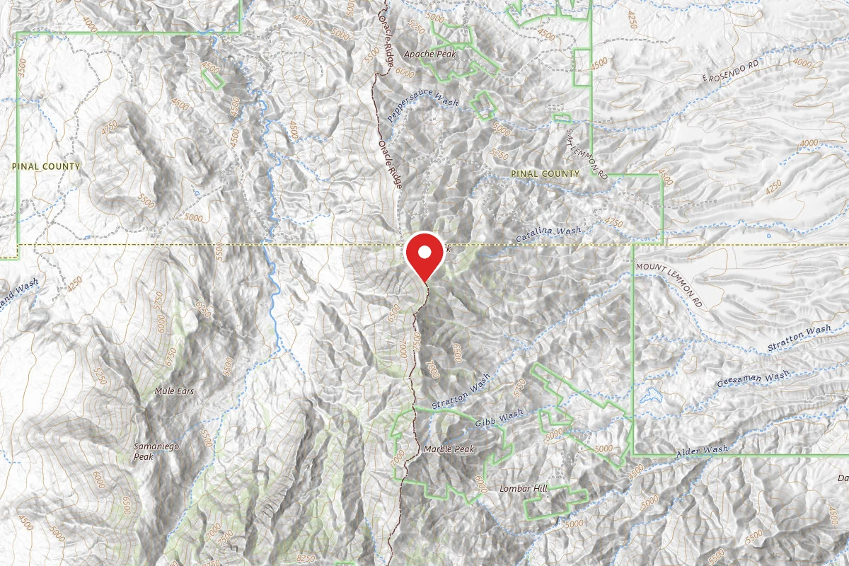 Dispersed Site near 32.5061, -110.7463