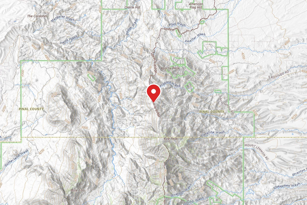 Dispersed Site near 32.5334, -110.7561