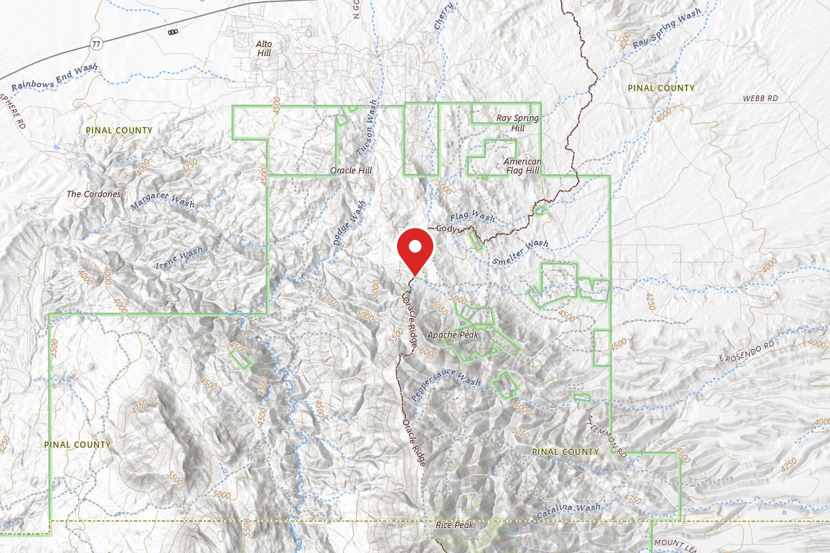 Dispersed Site near 32.5650, -110.7544