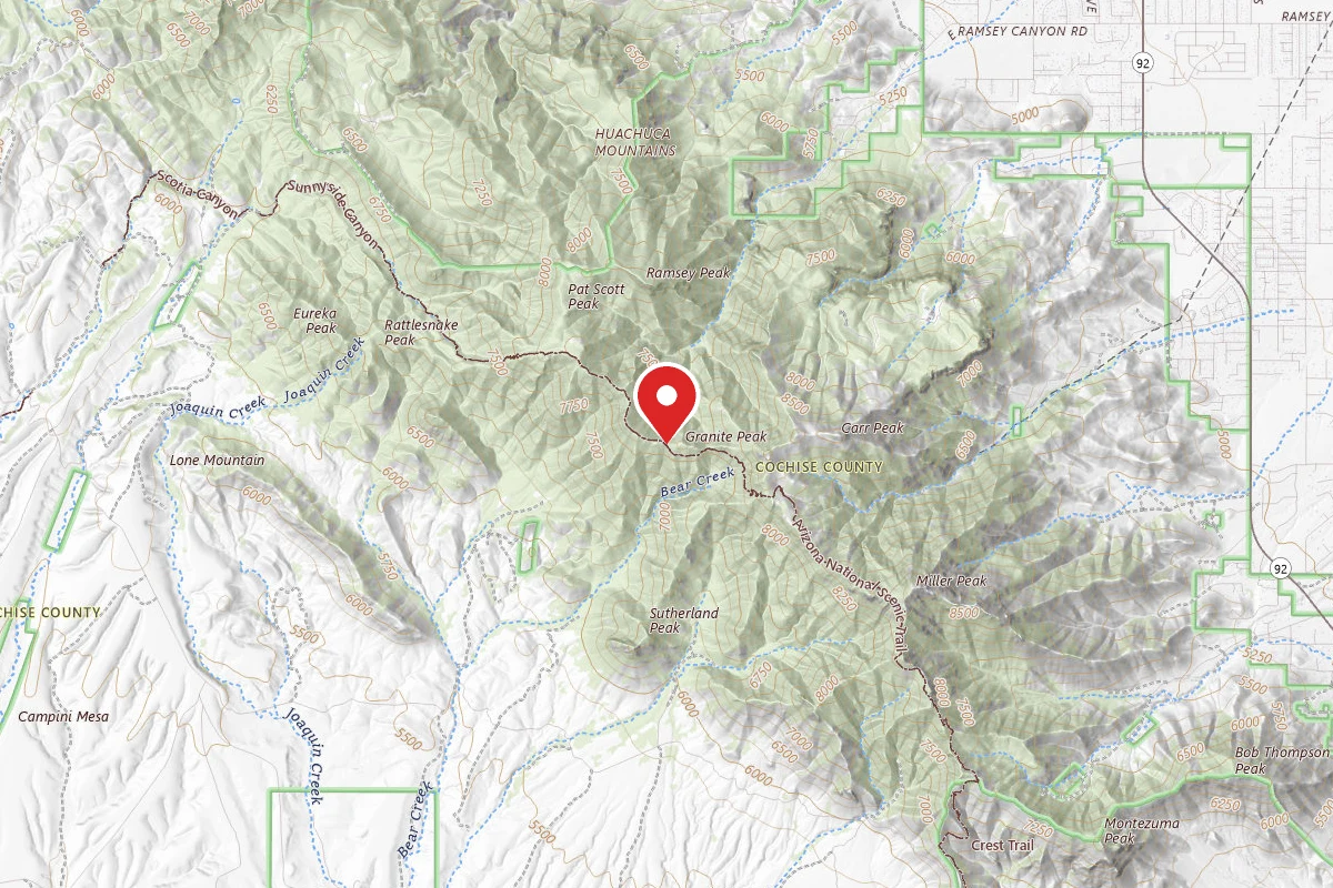 Dispersed Site near 31.4118, -110.3311