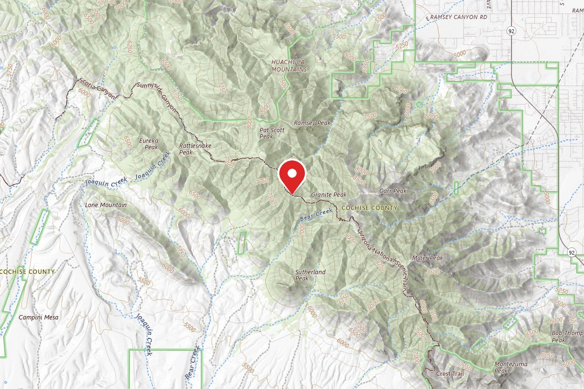 Dispersed Site near 31.4129, -110.3349