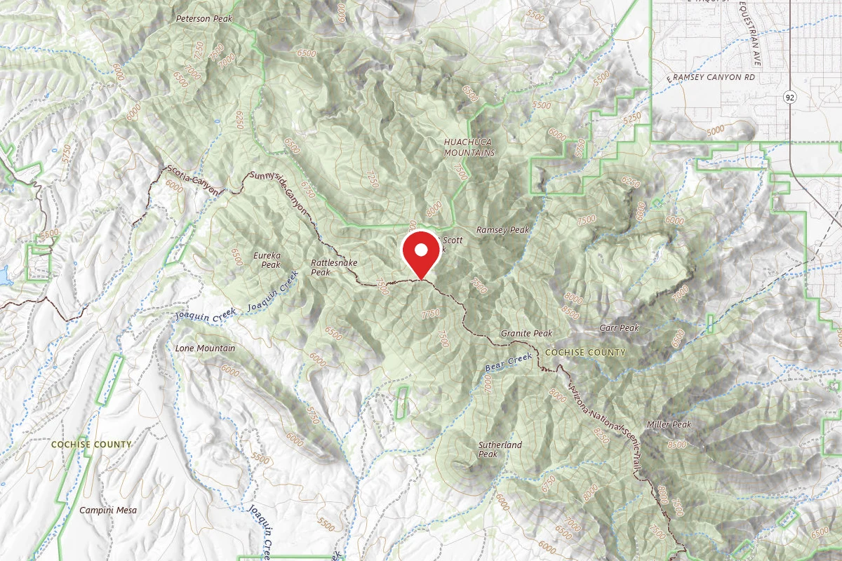 Dispersed Site near 31.4239, -110.3477