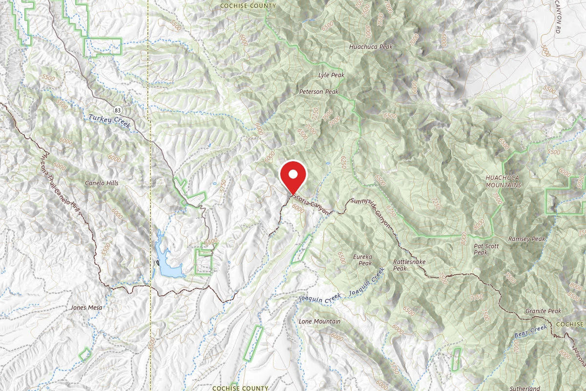 Dispersed Site near 31.4474, -110.4098