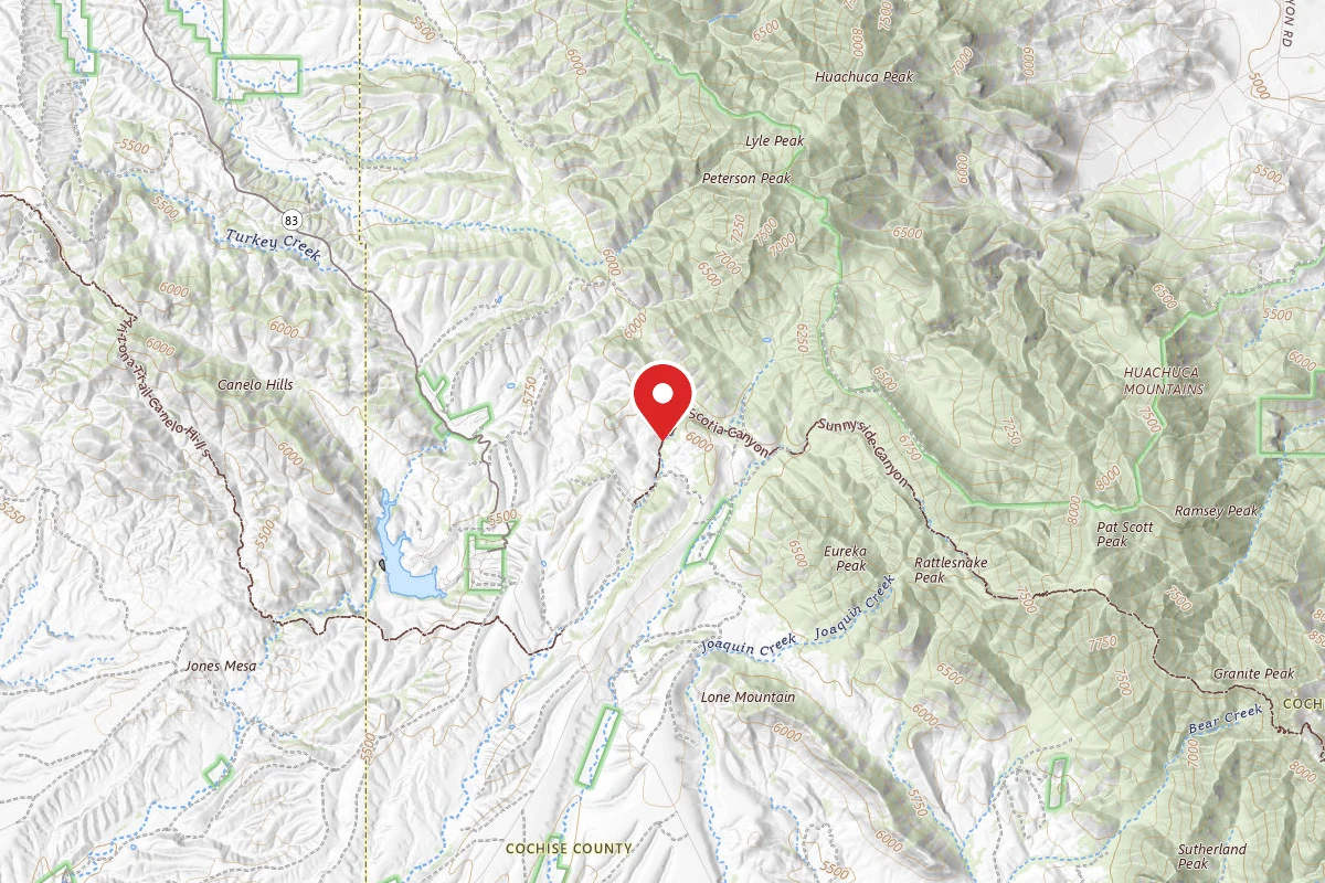 Dispersed Site near 31.4437, -110.4138