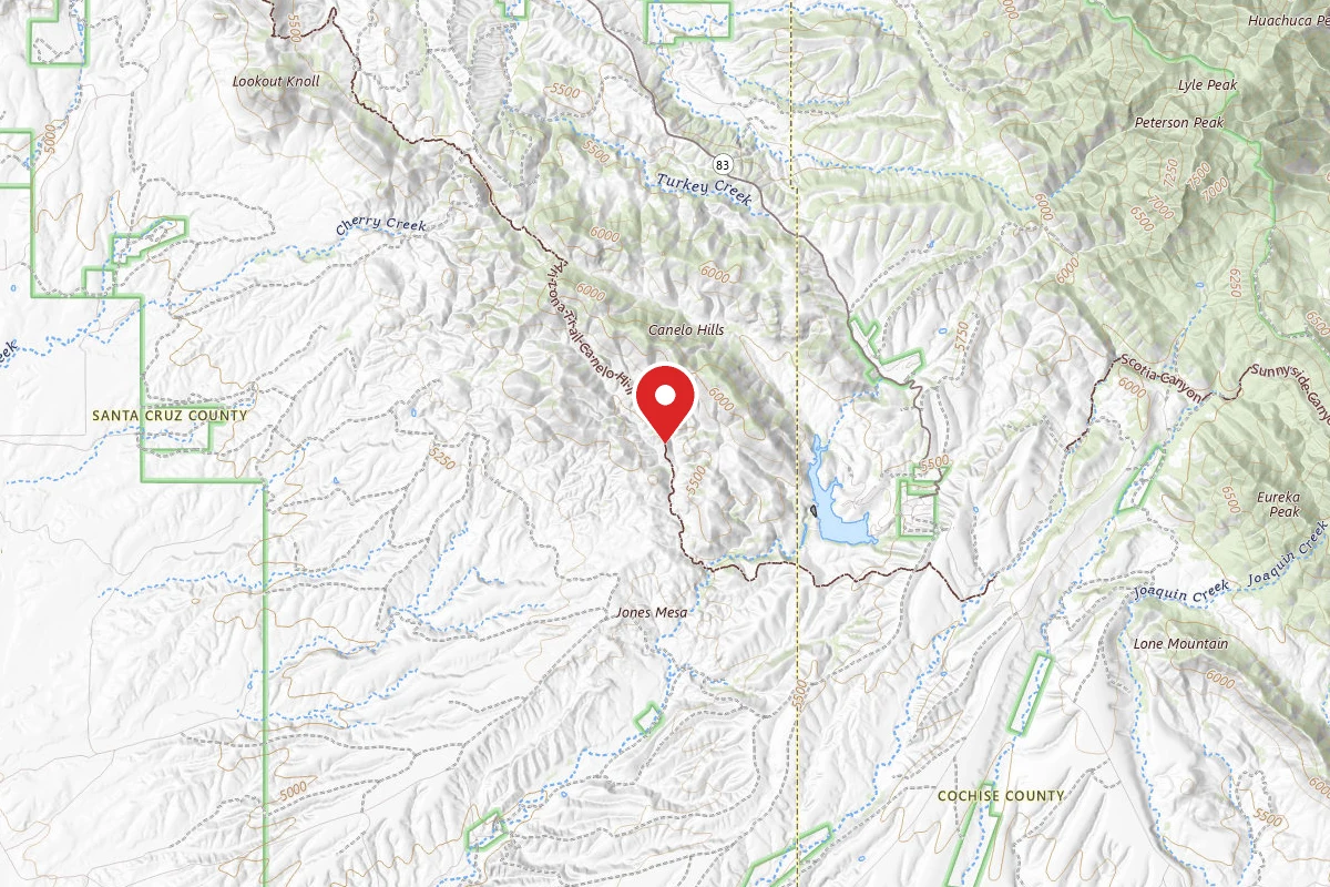 Dispersed Site near 31.4361, -110.4804