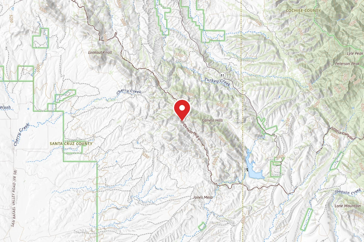 Dispersed Site near 31.4507, -110.4943