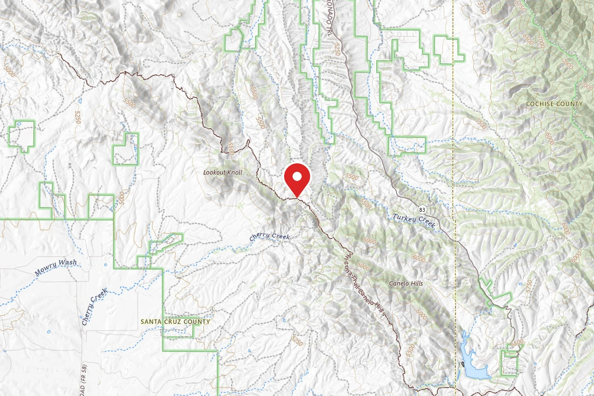 Dispersed Site near 31.4764, -110.5149