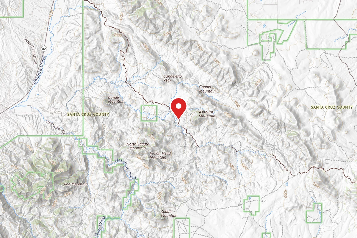 Dispersed Site near 31.5372, -110.6527