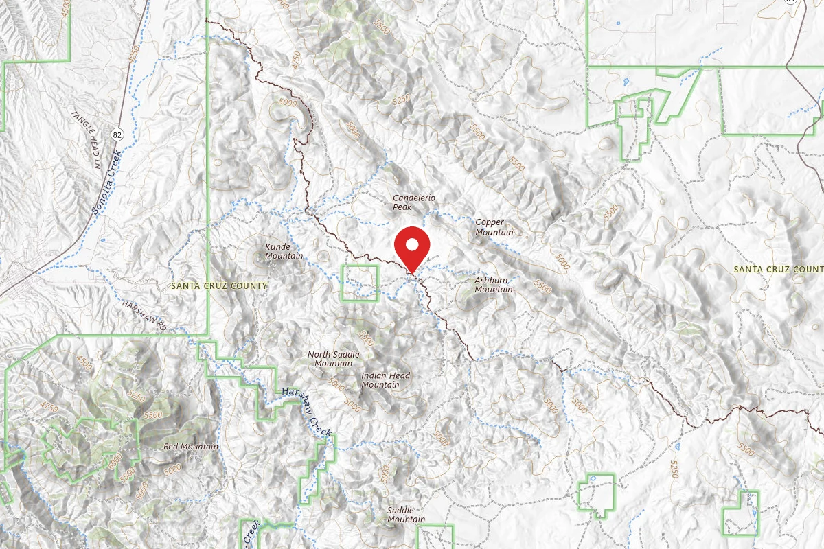 Dispersed Site near 31.5418, -110.6565