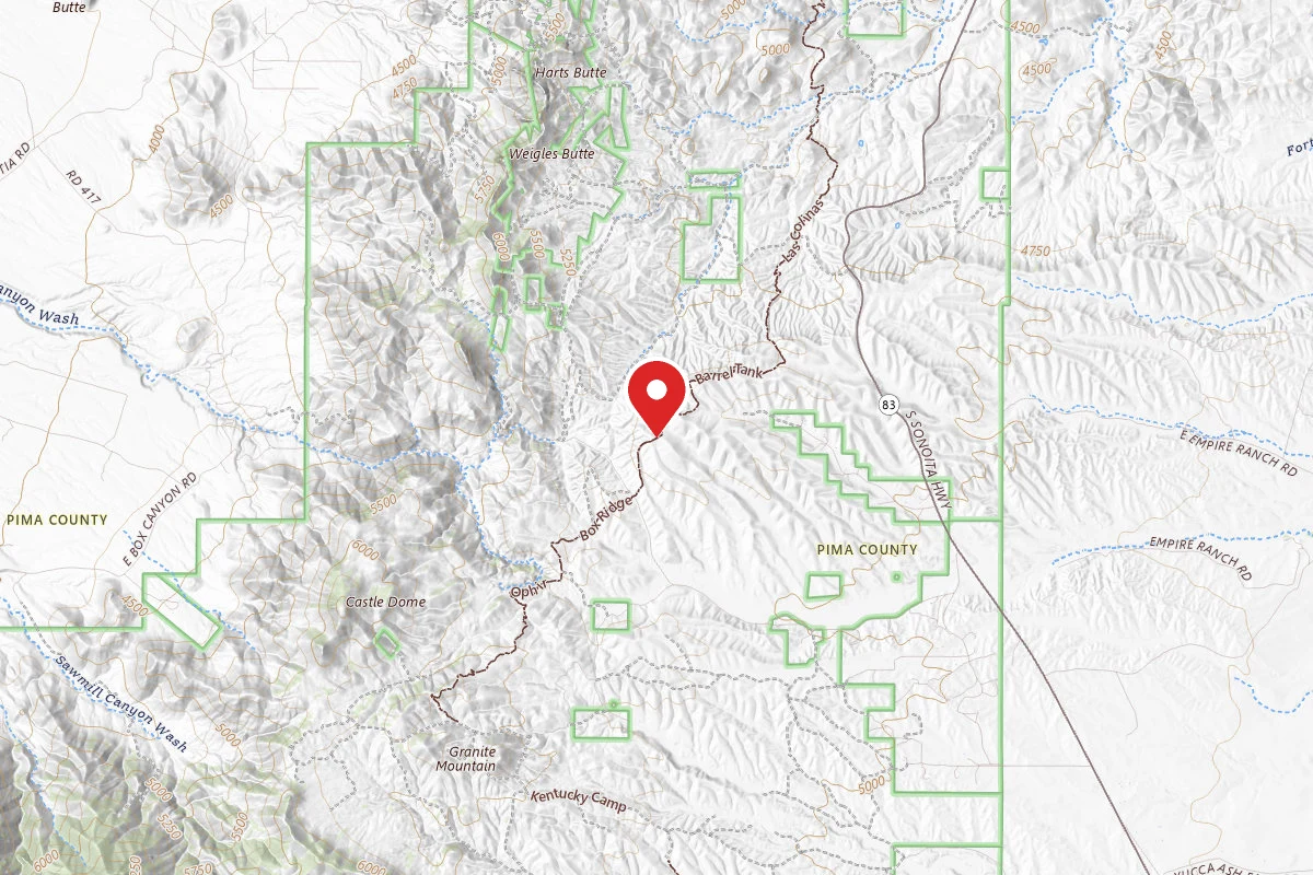 Dispersed Site near 31.8006, -110.7435