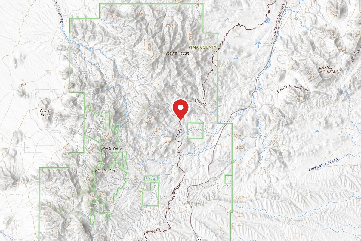 Dispersed Site near 31.8626, -110.7179