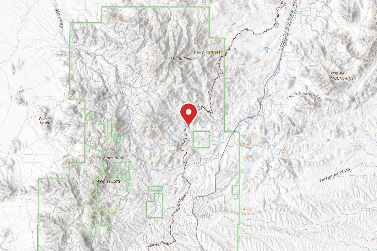 Dispersed Site near 31.8643, -110.7163