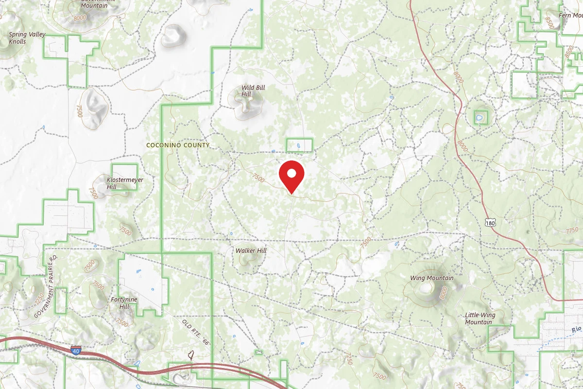 Walker Hill Dispersed (Coconino NF)