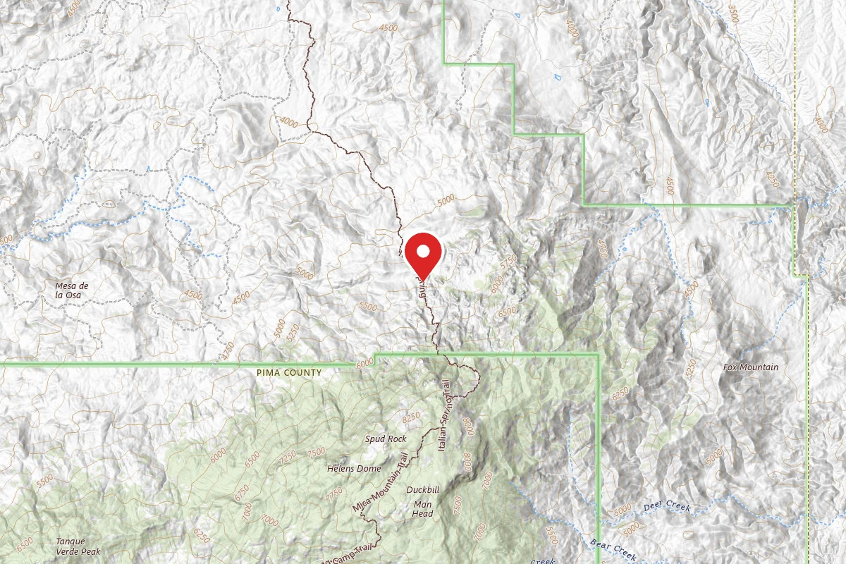 Dispersed Site near 32.2523, -110.5416