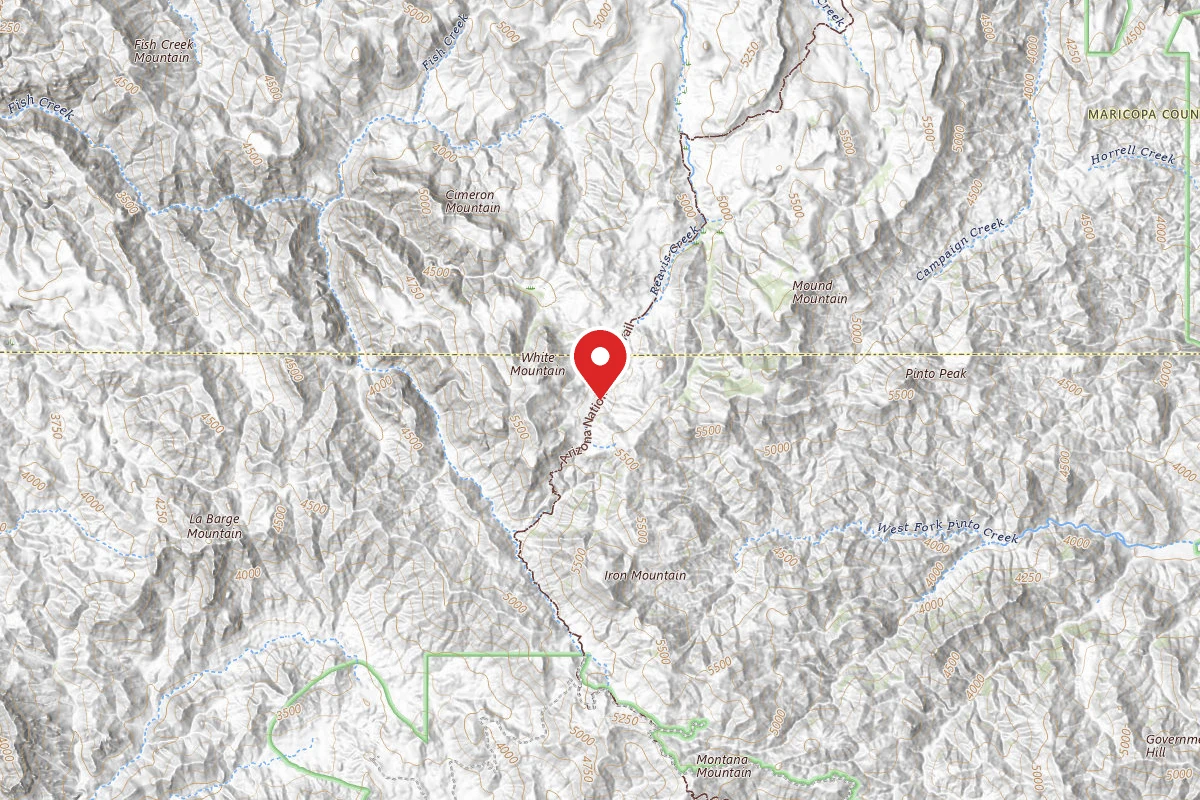 Dispersed Site near 33.4591, -111.1707