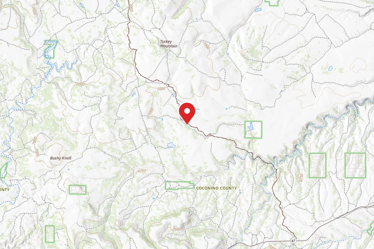 Dispersed Site near 34.6605, -111.2590