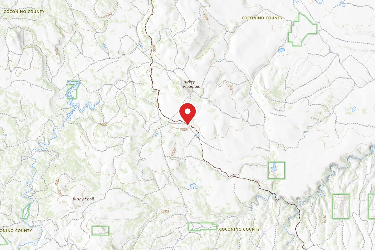 Dispersed Site near 34.6787, -111.2714