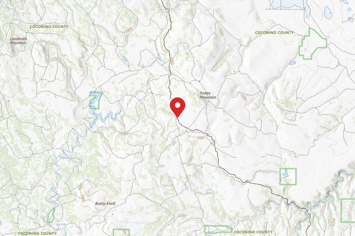 Dispersed Site near 34.6861, -111.2867