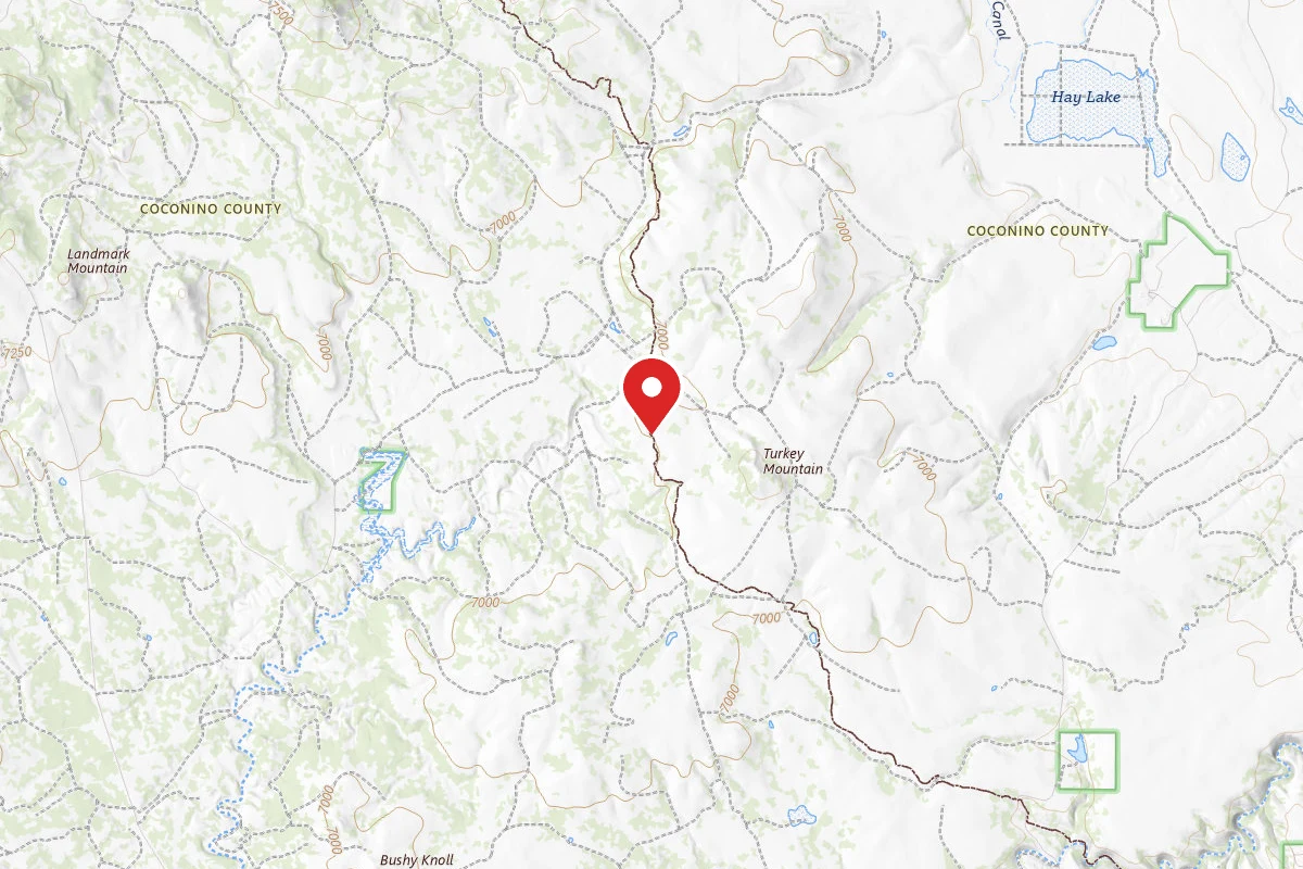 Dispersed Site near 34.7006, -111.2915