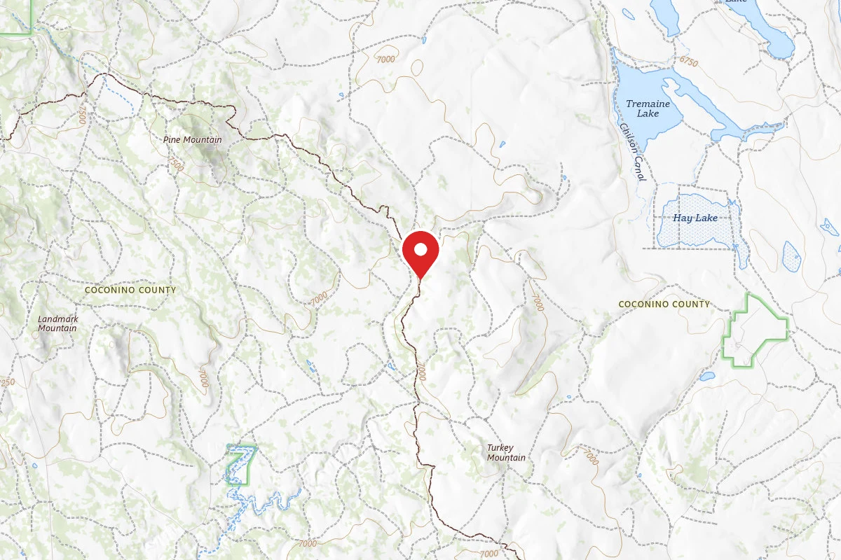 Dispersed Site near 34.7319, -111.2902