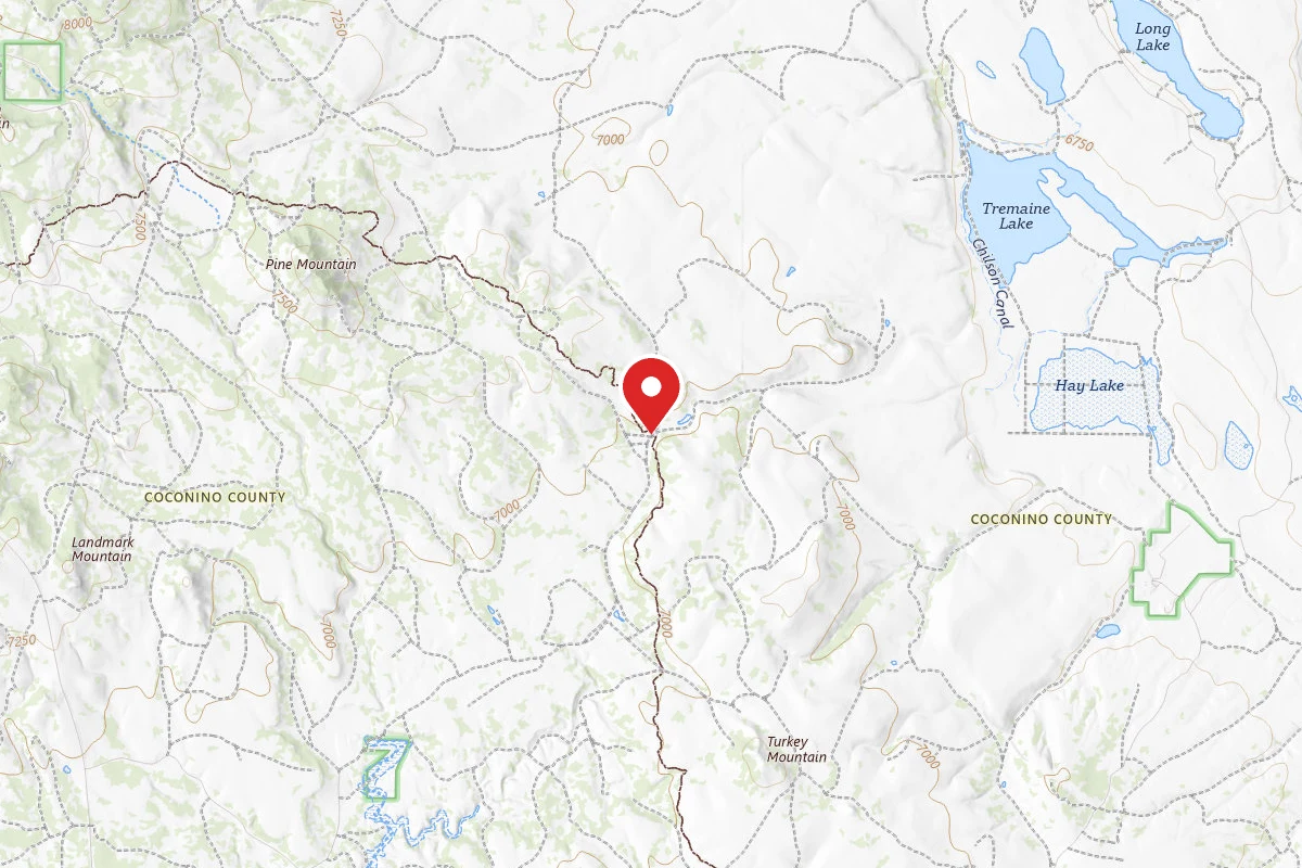 Dispersed Site near 34.7381, -111.2922