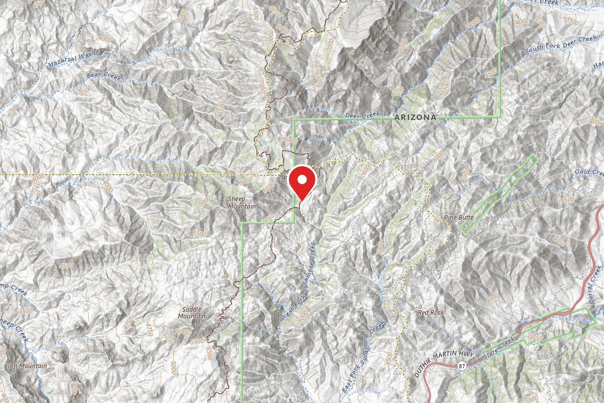 Dispersed Site near 33.9925, -111.4840