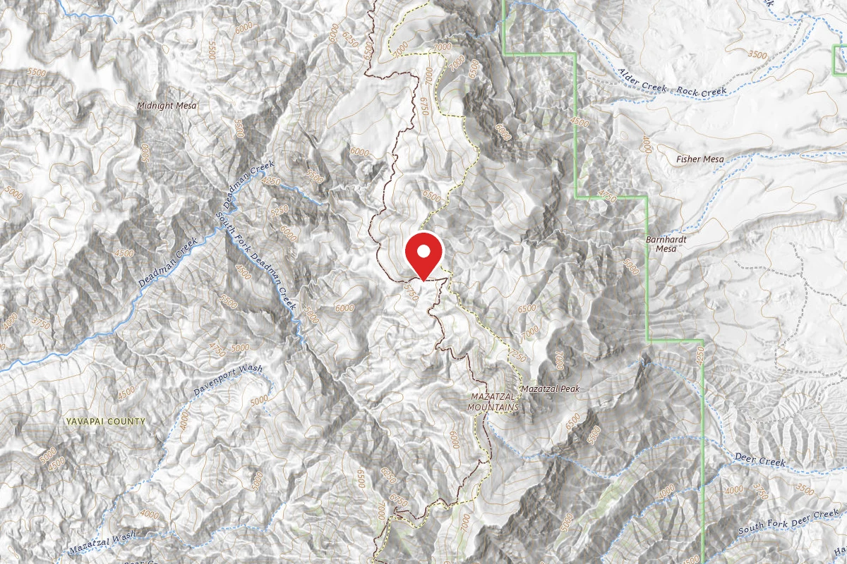 Dispersed Site near 34.0852, -111.4844