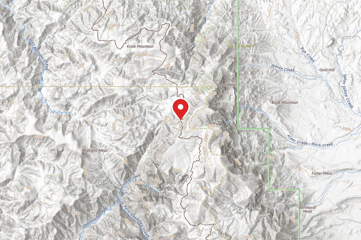 Dispersed Site near 34.1352, -111.4979