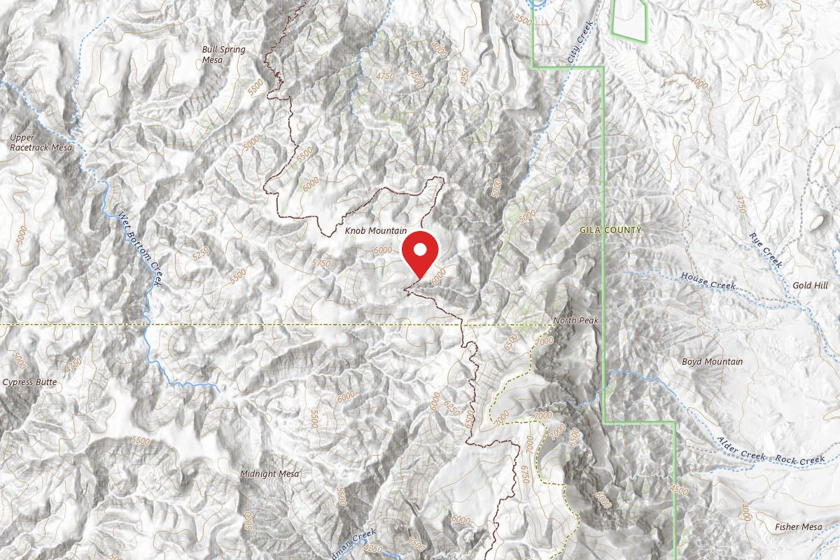 Dispersed Site near 34.1601, -111.5100
