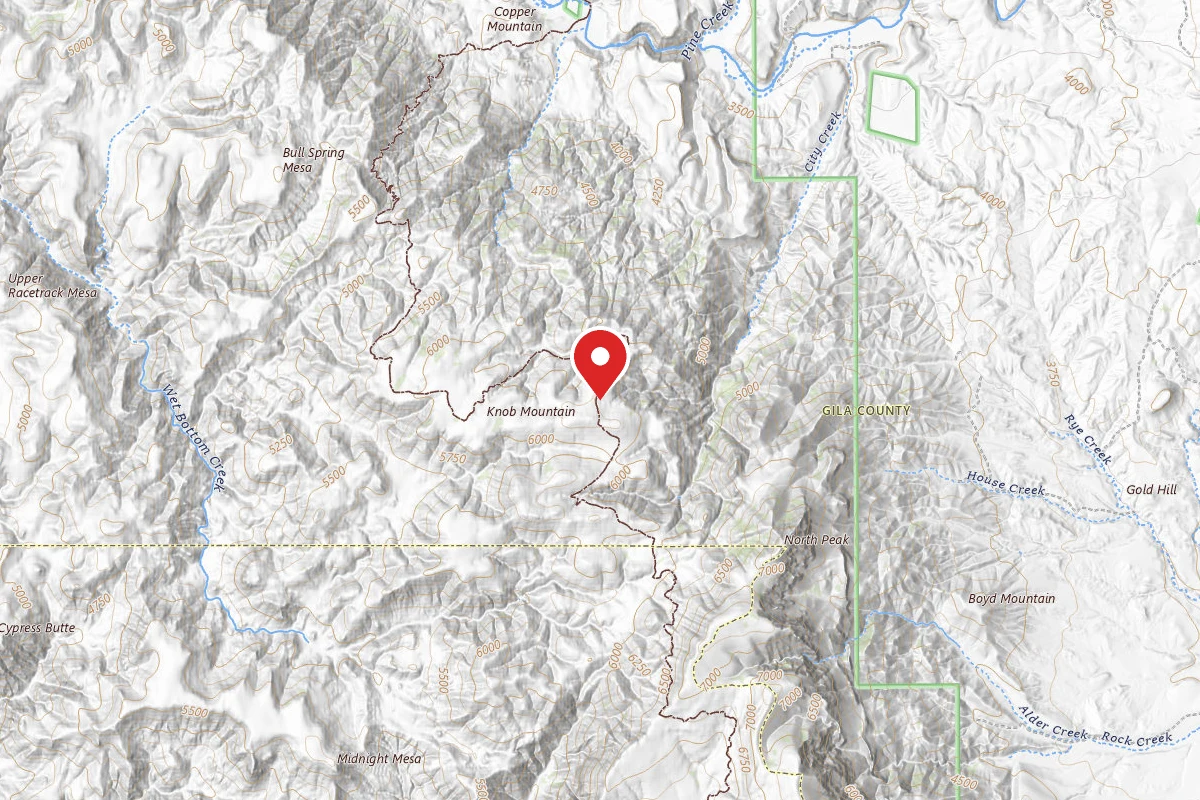 Dispersed Site near 34.1718, -111.5090