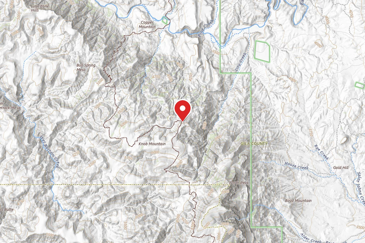 Dispersed Site near 34.1806, -111.5037