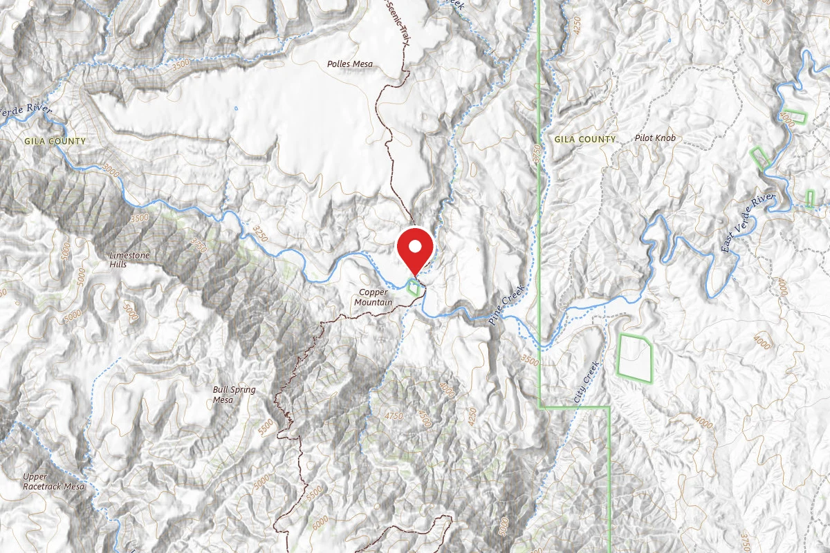 Dispersed Site near 34.2301, -111.5132