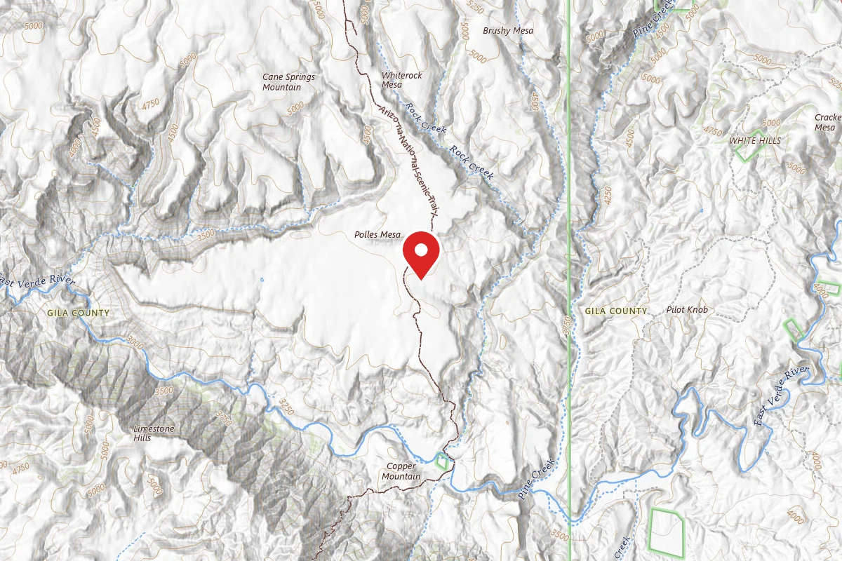 Dispersed Site near 34.2644, -111.5188