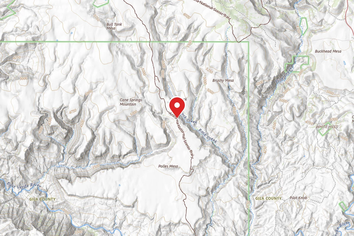 Dispersed Site near 34.2970, -111.5243