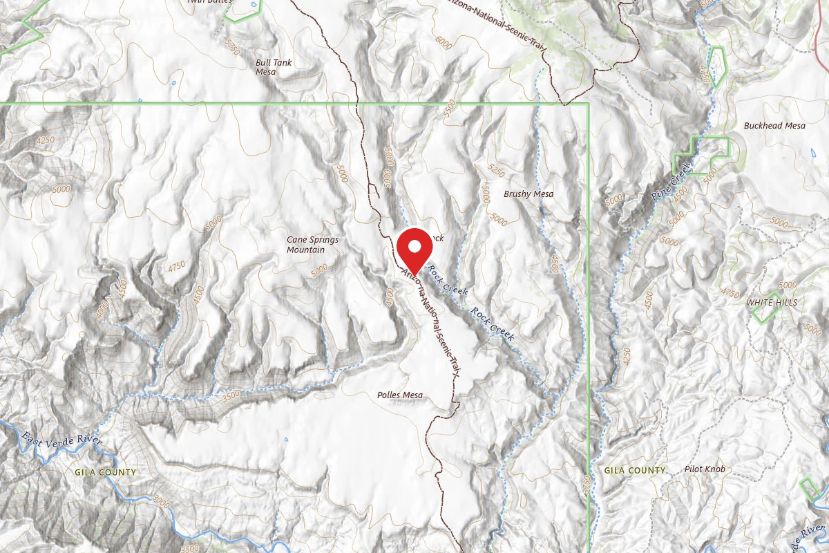 Dispersed Site near 34.2981, -111.5259