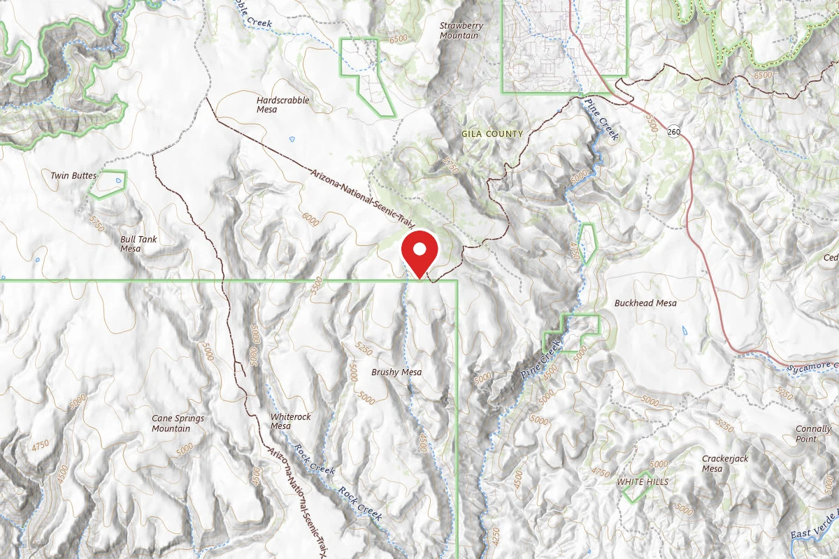 Dispersed Site near 34.3339, -111.4919