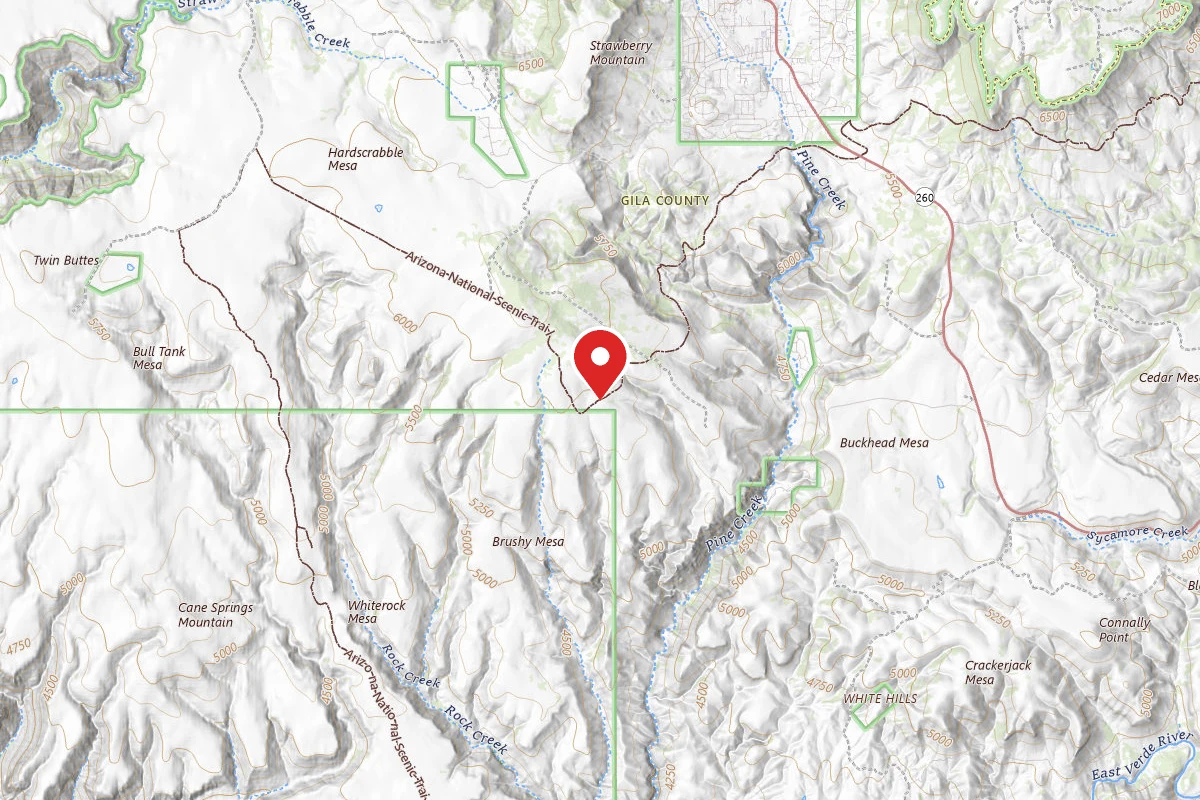 Dispersed Site near 34.3351, -111.4851