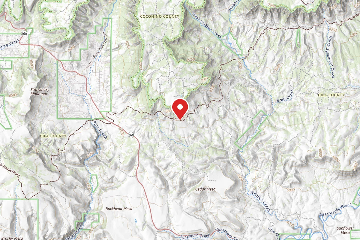 Dispersed Site near 34.3709, -111.4013