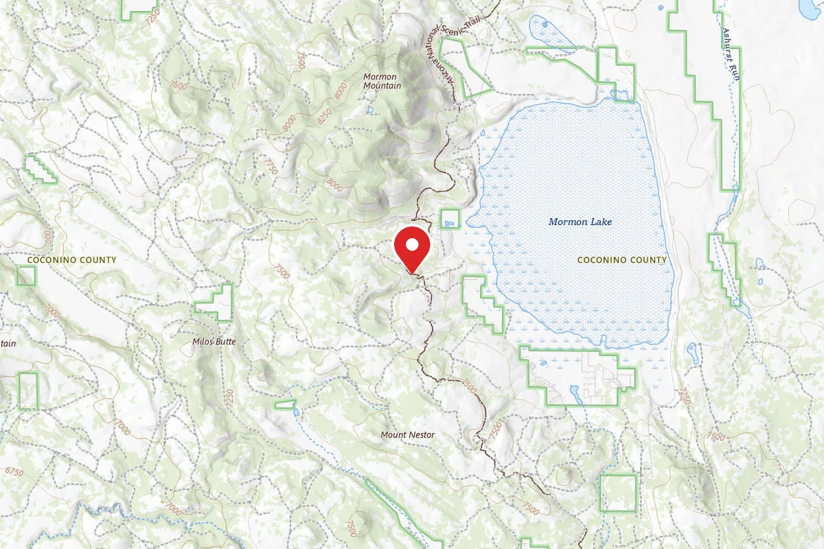 Dispersed Site near 34.9318, -111.4978