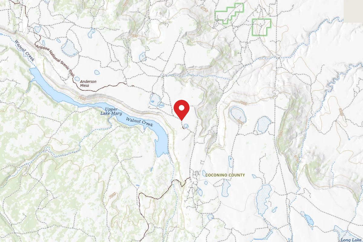 Dispersed Site near 35.0563, -111.4494