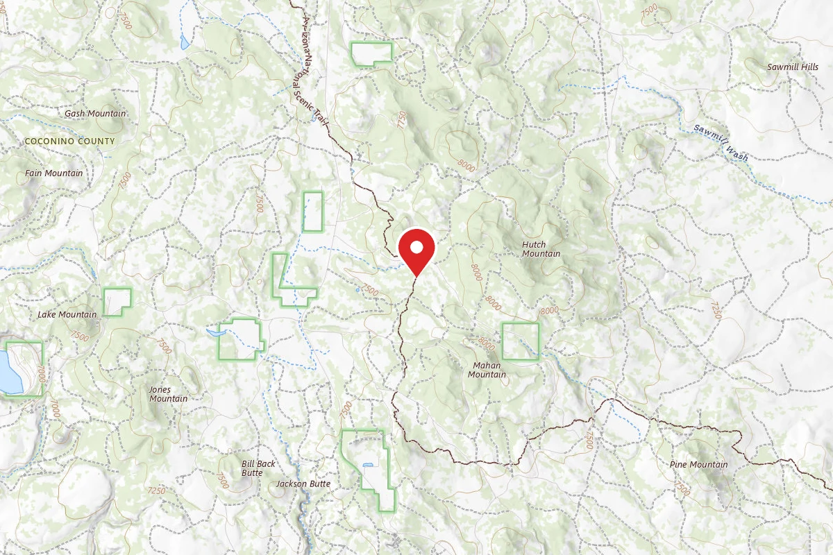 Dispersed Site near 34.7982, -111.4159