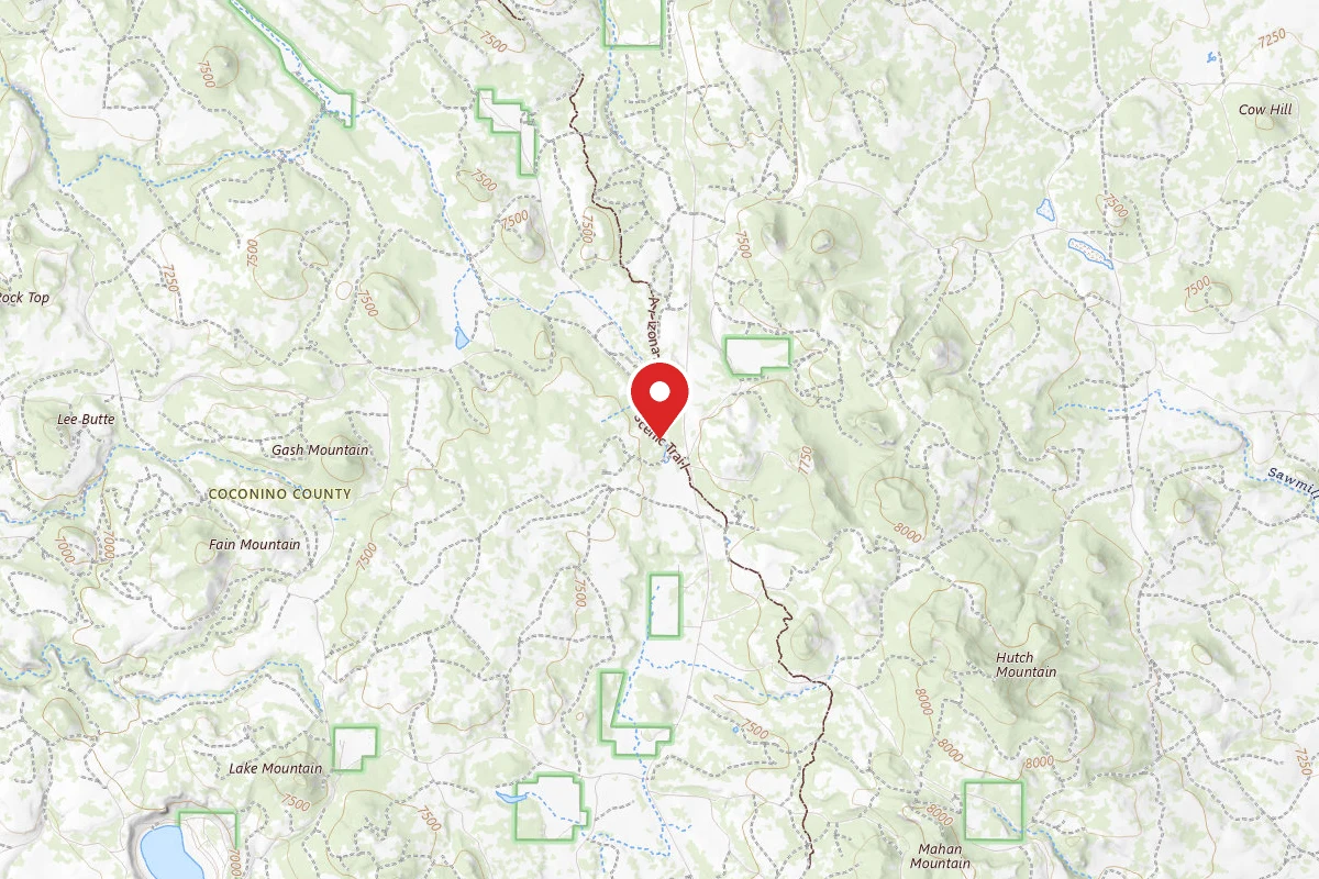 Dispersed Site near 34.8328, -111.4422