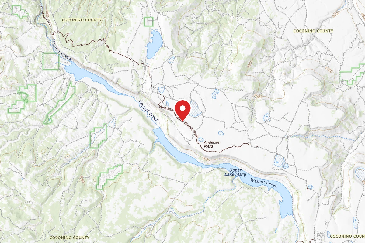 Dispersed Site near 35.0842, -111.5191