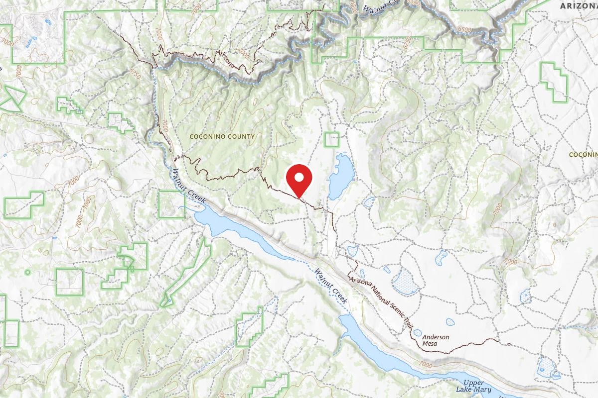 Dispersed Site near 35.1135, -111.5495